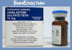 ������ ���������� ������ � �������� ����� ����� - ����������� 1