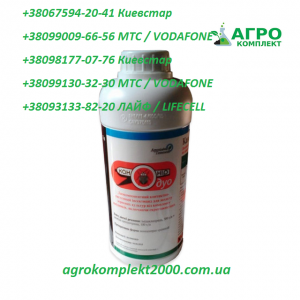 ������ ���������� ������� ���, ����������� - ����������� 1