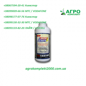 ������ ���������� ������� ����, ����������� - ����������� 1