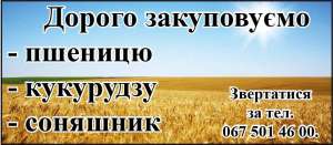 ������ ���������� �������, ���������, �������� - ����������� 1