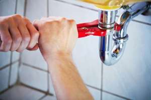 ������ ����������, ���������� ���� - ����������� 1