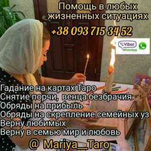 ������ �����������. ������ �����. �������. - ����������� 1