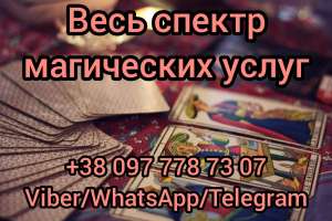 ������ �����������. ������ �����. ������� �� ����. - ����������� 1