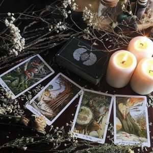 ������ ����������� ������. ������� �� ����������. - ����������� 1