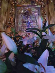 ������ �����������. ������� ������. ������ ��������. - ����������� 1