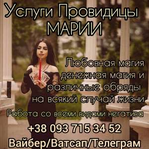 ������ �����������. �������. ������ ��������. ������� �������. - ����������� 1