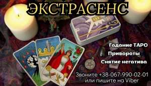 ������ �����������. ��������. �������. ������ �����. - ����������� 1