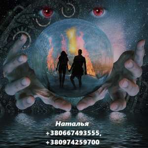 ������ �����������. ���������. ������ ��� �����. - ����������� 1