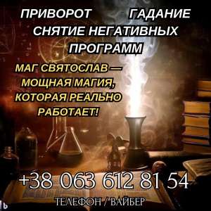 ������ ����������� �����������. �������. ������ ��������. - ����������� 1