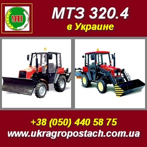 ������ ������������ ��� 320.4 ��������. ������ � �����. - ����������� 1