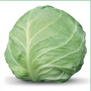 ������ ������������ ������� Akira F1 / ����� F1 ����� ������ - ����������� 1