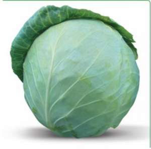 ������ ������������ ������� Honka F1 / ����� F1 ����� ������ - ����������� 1