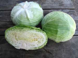 ������ ������������ ������� Naomi F1 / ����� F1 ����� ������ - ����������� 1