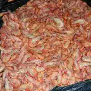 ������ ������������ �������� - ����������� 1