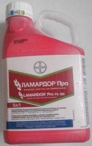 ������ ������������ �������� ��� - ����������� 1