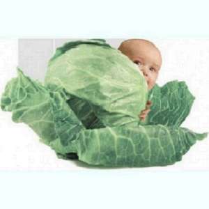 ������ ������������� �������� ���� ���������� ��� �� ������ ��������� ������� - ����������� 1