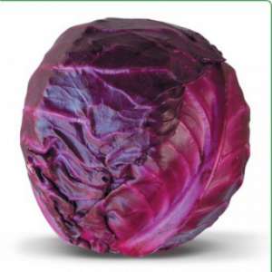 ������ �������������� ������� Kioto F1 / ����� F1 ����� ������ - ����������� 1