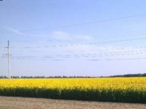 ������ ������������������ � �������� ������� -2900 �� - ����������� 1