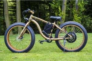 ������� Electro Rear Drive ������ ���� - ����������� 1