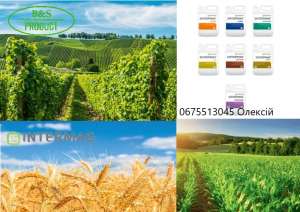 ������� INTERMAG - ����������� 1