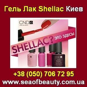����-��� Shellac, Jessica � �����. ������-������� - � �������! - ����������� 1