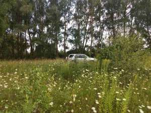 ������� � �. ���������, ��. ������� 17,5 ����� - ����������� 1