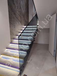 ������� � ��� ������� � ��������� �������������� ����������� � ����������� ���� - ����������� 1