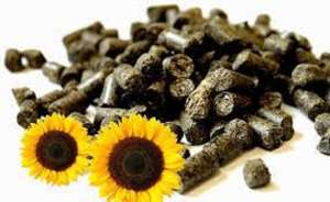 ������� � �������� ���������, ������� � �������� - ����������� 1