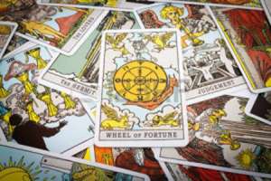 ������� �� ������ ����, �����������, ���������� - ����������� 1