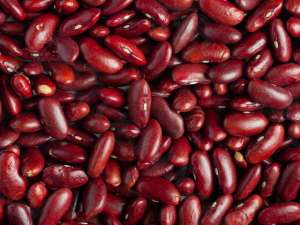 ������� �� ��������� - ��� ���� ������������ - ����������� 1