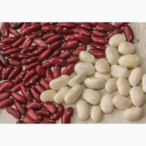 ������� �� ��������� ����� ����� - ����������� 1