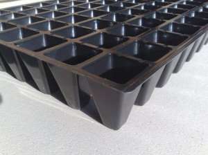 ������� ��� �������: 77 ����� - ����������� 1