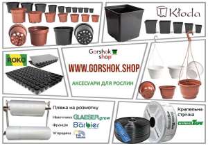 ������� ��� ������� � ���� - �������� �a�a���� ��������� ��� ������ - ����������� 1