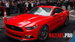 �������. ����. - ����������� 1