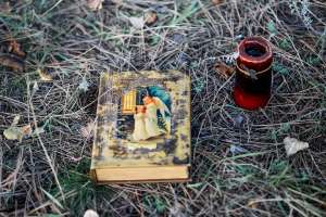 ������� ���� - ����������� 1