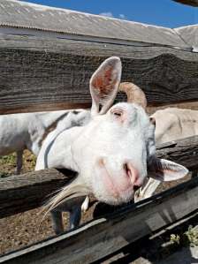 ������� ���� ��� �������� �������������� - ����������� 1