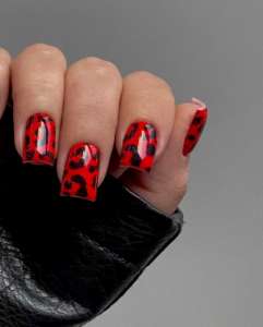 �������, ���� ���, ���������, �����������, ������ - ����������� 1