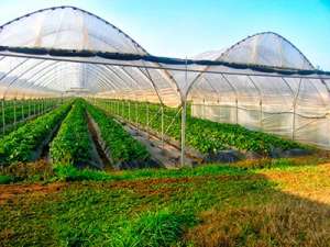 ������� ����� Vatan Plastik ��������� - ����������� 1