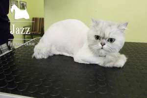 ������� ����� � ��. ����� ����� - ����������� 1