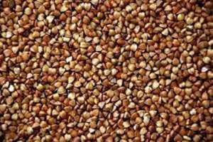 ������� ����� �� 5 � - ����������� 1