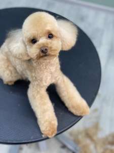 ������� ����� �� ����, ������, ����������� � ���ʼ�������� - ����������� 1