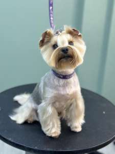 ������� ����� �� ����, ������, ����������� � ���ʼ�������� - ����������� 1