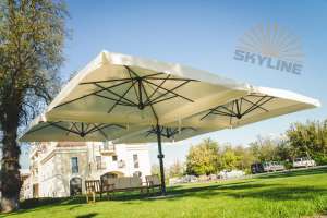 ������� ����� ��� ����, ����������, ���� Scolaro - ����������� 1