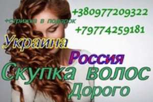 ������� ����� ������ ����� ������. ��� �������. - ����������� 1