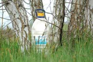 "������� �����" ������� ����� - ����������� 1