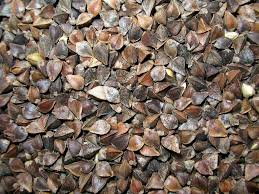 ������� ����� ������� ������� ������ - ����������� 1