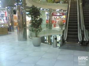 �������, �����, ����������� �� ��� ������ ���������������� - ����������� 1