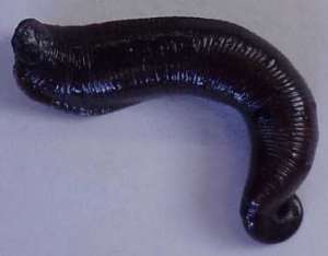 ������� ������ � ��������� ����� � �������, ������ ������ - ����������� 1