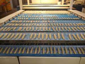 ������� . ������ �� ������� - ����������� 1