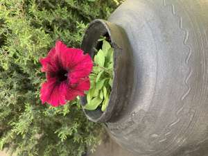 �������, ������ �� ������������ � ������ - ����������� 1